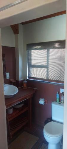 a bathroom with a white toilet and a sink at Skoorsteenberg Farm Camping & Accommodation in Tankwa Karoo
