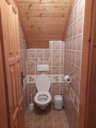 a small bathroom with a toilet and a wooden ceiling at Chalupa Trosenka in Troskovice