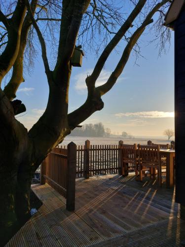 Příroda nedaleko vily