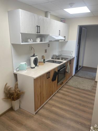 Kuchyň nebo kuchyňský kout v ubytování BNP Apartments 1