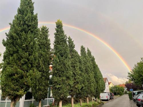 a rainbow in the sky over a row of trees at Hotel Hofmann Zur Mühle in Bad Krozingen