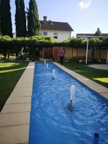 a woman walking down a blue water path with swans at Hotel Hofmann Zur Mühle in Bad Krozingen