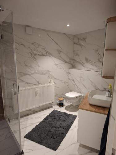 a bathroom with a toilet and a sink at Ferienwohnung Nordseewind in Aventoft