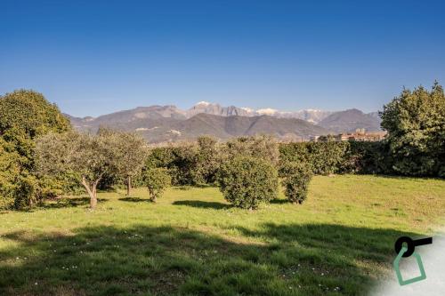 a green field with trees and mountains in the background at HOTIDAY Room Collection - Sarzana in Sarzana