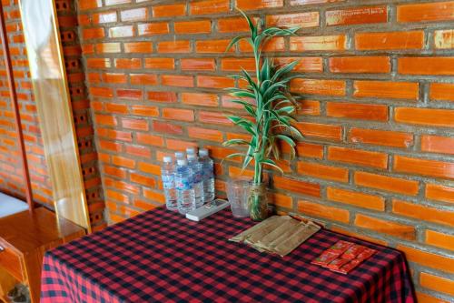 Gallery image of Homestay Dream hill in Cat Tien