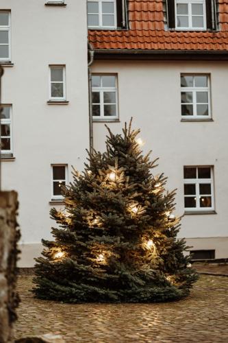 a christmas tree with lights in front of a house at Gutshof zu Quedlinburg in Quedlinburg