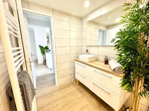 une salle de bain avec un lavabo et un miroir dans l'établissement Beau 65 M2 en Front de Mer à St Raphaël - Piscine, à Saint-Raphaël