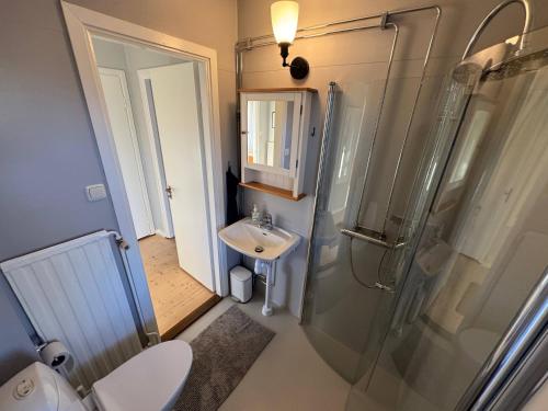 a bathroom with a shower and a sink and a toilet at Hus Hornsö in Blomstermåla