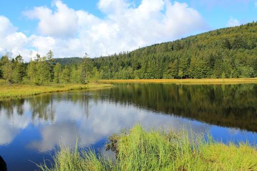a view of a lake with trees in the background at CHALET, GITE DE GROUPE - ATC ROUTES DU MONDE à BUSSANG - 32 couchages in Bussang