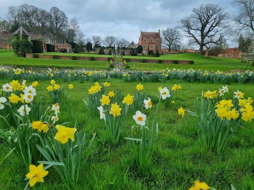 Billede fra billedgalleriet på Five Star Luxury - Oxnead Hall i Burgh next Aylsham