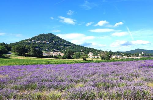 Havre de Paix et Lavandes - Très Calme - Salle de jeux - Jacuzzi Chauffé - Idéalement placée - Aucun vis à vis