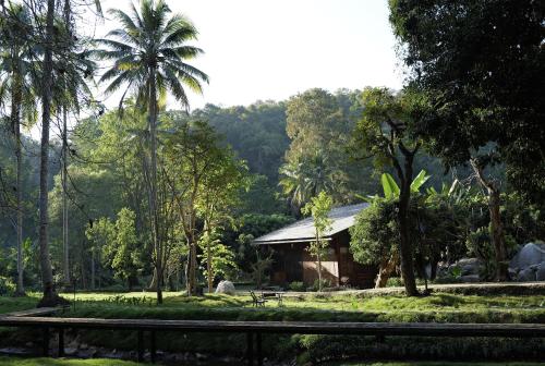Landskap semula jadi dekat dengan lodge