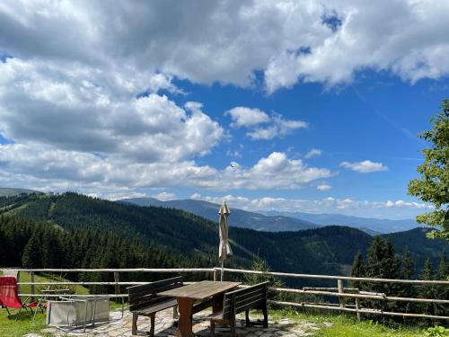 a picnic table with a view of the mountains at Idyllische Almhütte am Gaberl in Kleinlobming