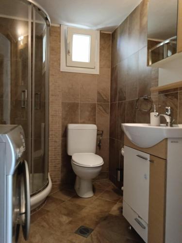 a bathroom with a toilet and a sink and a shower at Iraklitsa Teo Resort in Iraklitsa