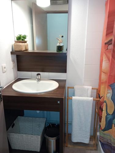 une salle de bain avec un lavabo et un miroir dans l'établissement B010 Appartement Disneyland Paris France, à Montévrain