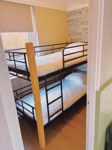 a bunk room with two bunk beds in it at Bungalow Doris met Hottub | 4 personen - Vakantiepark De Kremmer in Gasselte