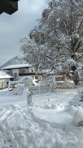 Ferienmaisonette Purpurbuche durante l'inverno
