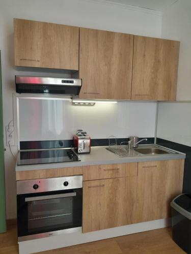 une cuisine avec une cuisinière et un évier dans l'établissement appart cosy 2 chb wifi jardin, à Châteauroux