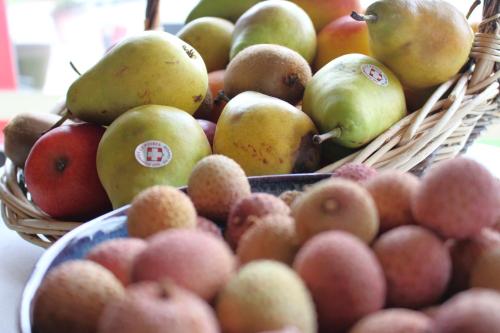 a bunch of apples and pears in a basket at ibis Dijon Sud in Perrigny-lès-Dijon