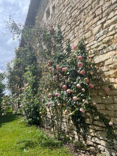 a brick wall with pink roses growing on it at Maison Terracotta, le calme aux portes de Poitiers in Saint-Julien-lʼArs