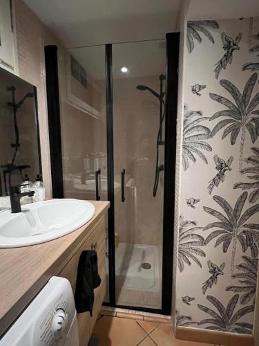 une salle de bain avec une douche avec un lavabo et une douche dans l'établissement The Bohemian Jacuzzi, Ideal for families or friends, à Avignon