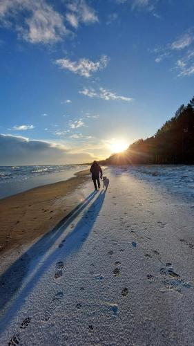 a person walking on the beach with a dog at Small 24 sq m house for 6 people with 2 extra beds in Plieņciems