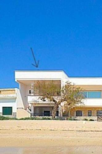 a white building with a tree in front of it at Mediterranea in Torre Pali 
