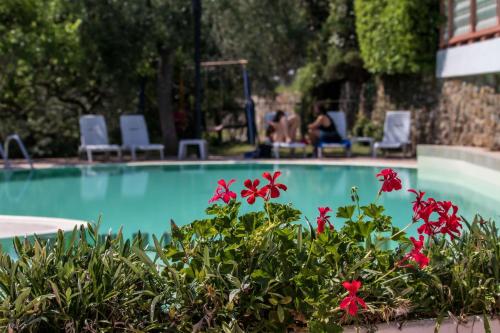 Πισίνα στο ή κοντά στο Albergo Ristorante San Matteo