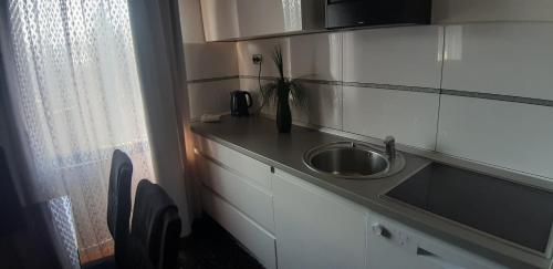 Køkken eller tekøkken på Apartman Anastasija