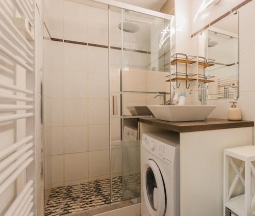 une salle de bain avec un lavabo et une machine à laver dans l'établissement Studio 4 personnes pied télécabine Petit Vignemale, à Cauterets