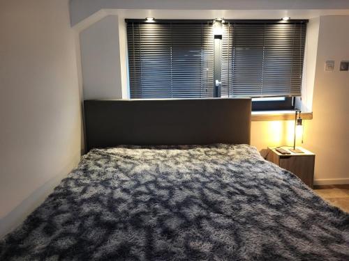 une chambre avec un grand lit et une fenêtre dans l'établissement Le Loft, à Épinal