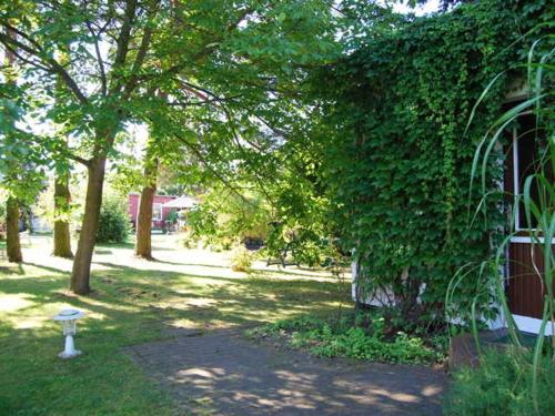 a ivy covered building with a path next to a tree at Ferienhaus mit Garten am Bodstedter Bodden in Bodstedt