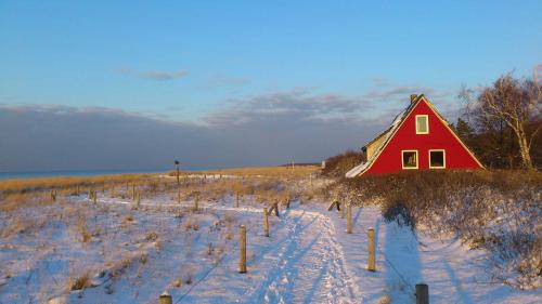 a red barn in a field with snow on it at Ferienwohnung am Meer in Markgrafenheide