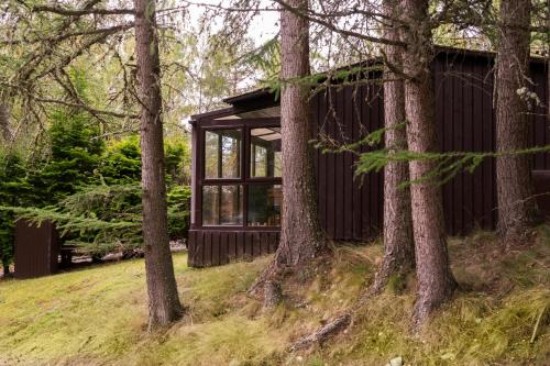 a cabin in the woods between two trees at Macdonald Lochanhully Resort in Aviemore