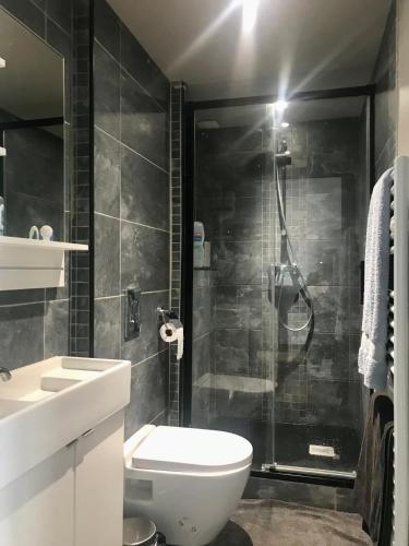 une salle de bain avec une douche, des toilettes et un lavabo dans l'établissement Deux pièces avec balcon, calme et ensoleillé, à Bordeaux