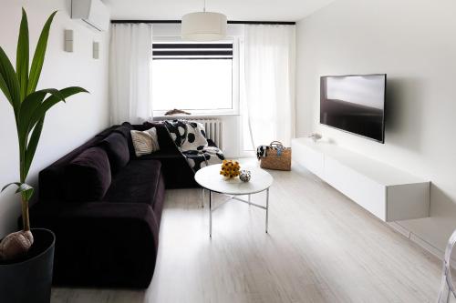 Μια τηλεόραση ή/και κέντρο ψυχαγωγίας στο Apartament Czarno na Białym
