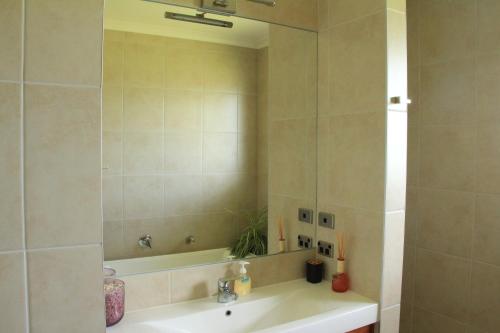 een badkamer met een wastafel en een spiegel bij Secret Lake Farmstay in Whakatane