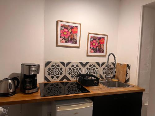 - un comptoir de cuisine avec une cafetière et un évier dans l'établissement 3- Le frêne vert, à Poitiers
