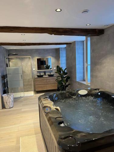 Cette chambre comprend une grande baignoire et une télévision. dans l'établissement Le Bonhomique, à Seclin