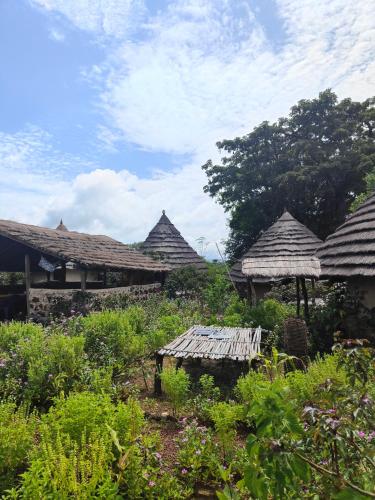 a group of houses with thatched roofs at Campement Chez Doba in Dande