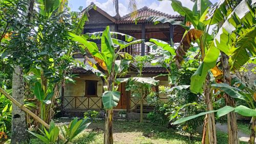 a house in the middle of a garden with trees at omah linares in Celep