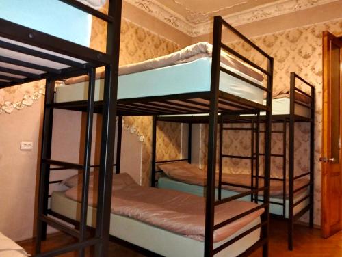 un paio di letti a castello in una stanza di Long Tree Hostel - Comfy Mattress a Tbilisi City