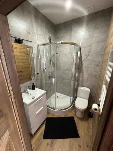 a bathroom with a shower and a toilet and a sink at Kamienica LOFT in Ciechocinek