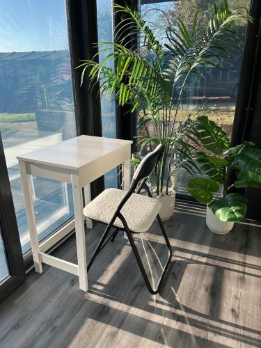 a white desk and a chair in a room with plants at Luxury and Style - The Garden Room in Winslow