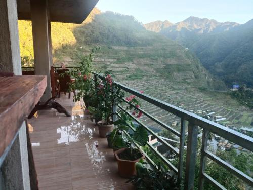 a balcony with potted plants and a view of a valley at Batad Pension and Restaurant in Banaue