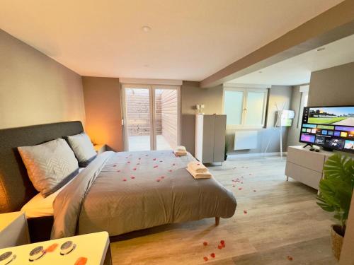a bedroom with a bed and a flat screen tv at Suite Romantique - Balneo Privé - Parking in Douai