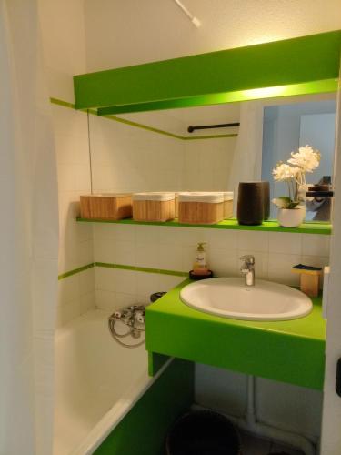 La salle de bains est pourvue d'un comptoir vert et d'un lavabo. dans l'établissement Studio port, lac, plage, à Talmont-Saint-Hilaire