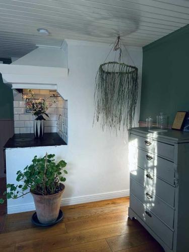 a room with a dresser and a potted plant at Folk och Fä in Grisslehamn