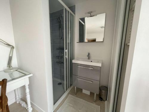 une salle de bain avec une douche, un lavabo et un miroir dans l'établissement Studio - LA ROCHELLE LR180-059B, à La Rochelle