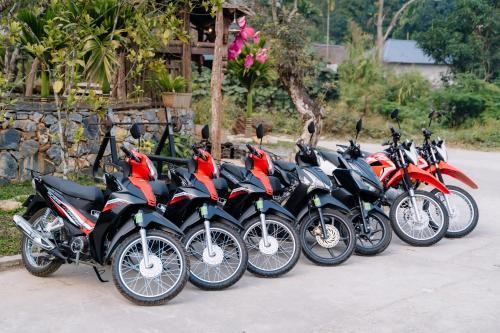 a row of motorcycles parked next to each other at Anans Home Ha Giang - Tours & Motorbike Rental in Ha Giang